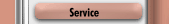 Service